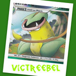 Bild-Vorlage