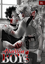 Cover: Assassin Boys