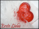 Cover: Erste Liebe