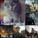 Cover: Feline adoration