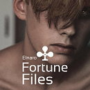 Cover: Fortune Files
