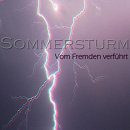 Cover: Sommersturm