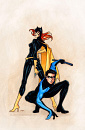 Cover: Batgirl/Nightwing
