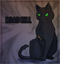 Cover: _- Road Kill -_