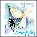 Cover: Butterflyboy