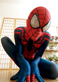 Cosplay-Cover: Superior Spiderman
